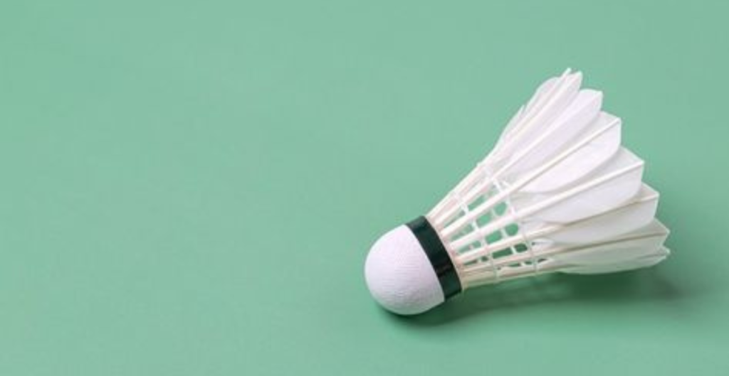 Kok dalam Badminton